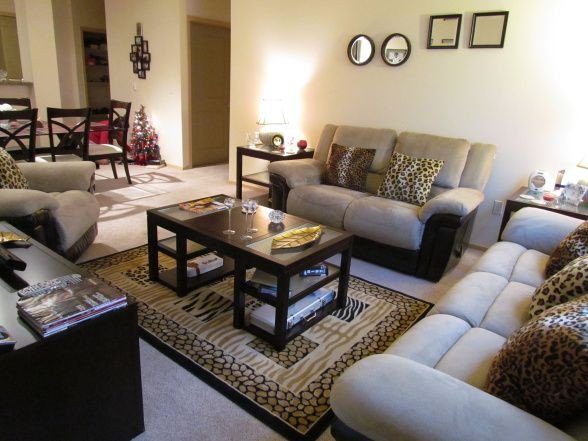 Living room accented with cheetah print throw pillows and