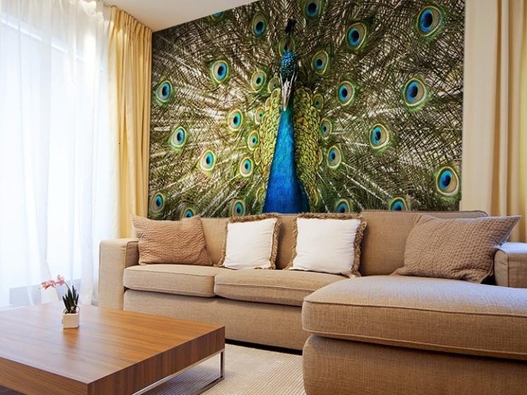 Decorating Living Room with Peacock Home Decor