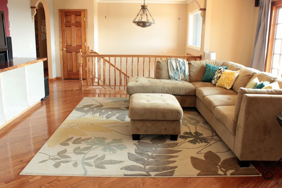 Carpet For Living Room InspirationSeek