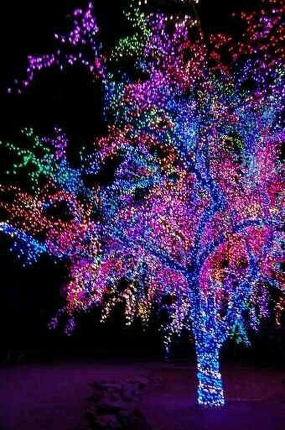 25 Christmas Lights and Decorations Theme Ideas