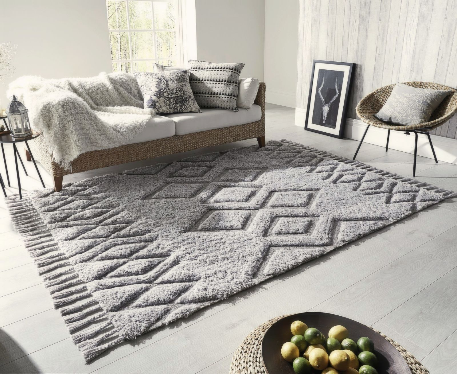 Boho Mid Century Modern Living Room Area Rugs