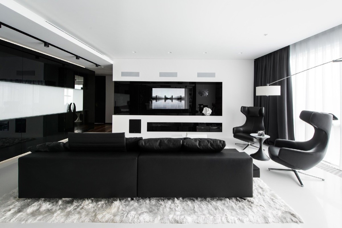 20 Black and white home decor modern living rooms