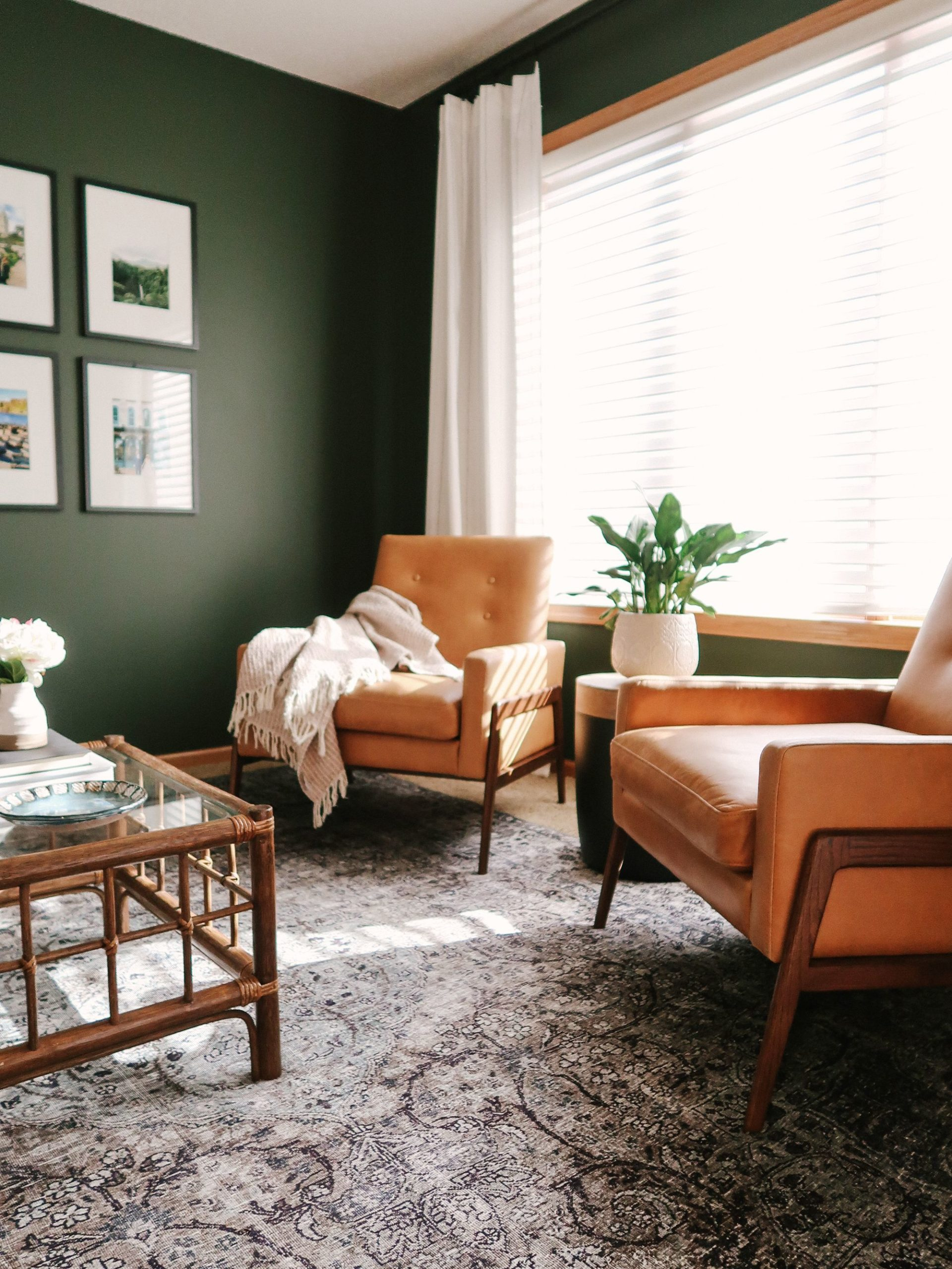 20 Dark Green Couch Living Room Ideas